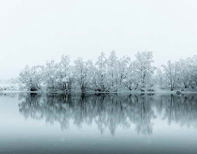 Уже отпустили? Экс-глава Раменского района активничал в соцсети после ареста за якобы убийство любовницы