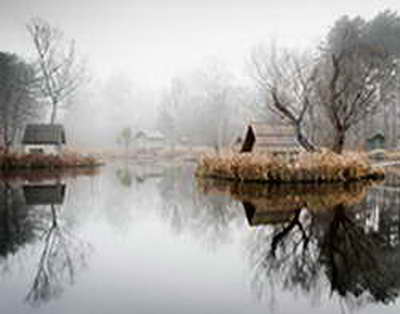 Уже отпустили? Экс-глава Раменского района активничал в соцсети после ареста за якобы убийство любовницы