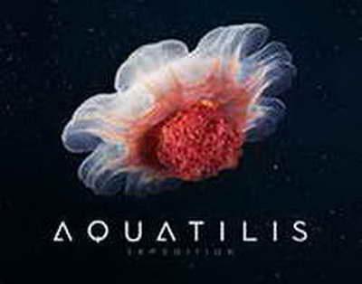 Фейковые VPN-аддоны для Chrome оказались инструментом слежки