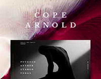 Тото Вольфф о спорном моторе: «Мерседес» попал, если ФИА и ФОМ согласятся с другими производителями»